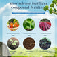 🔥BUY 1 GET 1 FREE🎉Home Gardening Universal Slow-Release Tablet Organic Fertilizer (22 PCS)