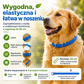 2026 GORĄCA WYPRZEDAŻ🌿🛡️ Obroża dla zwierząt z naturalnymi olejkami eterycznymi – 8‑miesięczna ochrona przed pchłami i kleszczami. Na bazie roślin, bez agresywnych chemikaliów. Bezpieczna dla psów i kotów! 🐾✨