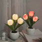✨ Sztuczna Lampa Tulipanowa – Romantyczna Dekoracja i Lampka Noc w Jednym! ✨