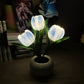 ✨ Sztuczna Lampa Tulipanowa – Romantyczna Dekoracja i Lampka Noc w Jednym! ✨