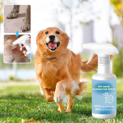 🐾 Spray eliminujący zapachy zwierząt – 50% ZNIŻKI! OFERTA LIMITOWANA!🐱 Skutecznie usuwa nieprzyjemne zapachy z dywanów, kanap i legowisk – bezpieczny dla psów i kotów.💨 Szybko działa i pozostawia świeżość! 🐶