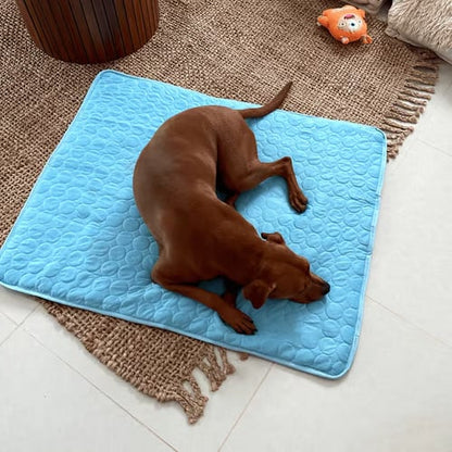 ❄️🐾 Mata chłodząca dla zwierząt (4x wzmocniony efekt chłodzenia) 🐶 Niezbędnik na lato dla każdego właściciela pupila