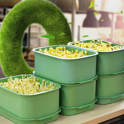 🌱 Stackowalne pudełko do uprawy kiełków fasoli z pokrywką