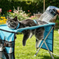 ⏳Ograniczona czasowo 50% zniżki⏰2-w-1 Składane Łóżko do Pielęgnacji Zwierząt🐱🐶🛋️